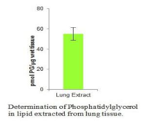Determination of Phosphatidylglycerol in Lipid Extracted from Lung Tissue