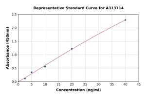 Representative standard curve for mouse NMDAR2A ELISA kit (A313714)