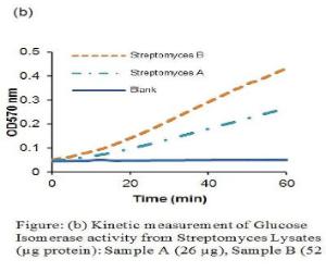 Kinetic Measurement of Glucose Isomerase Activity from <i>Streptomyces Lysates</i> (μg protein)