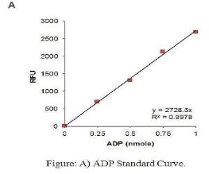 ADP Standard Curve