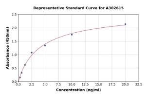 Representative standard curve for Human METTL1 ELISA kit (A302615)