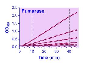 EnzyChrom™ Fumarase Assay Kit, BioAssay Systems