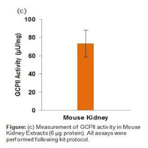 Measurement of GCPII activity in Mouse Kidney Extracts (6 μg Protein)