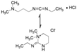 EDC-HCl (N-(3-Dimethylaminopropyl)-N'-ethylcarbodiimide hydrochloride) ≥99% (by titrimetric analysis), powder