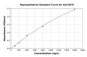 Representative standard curve for Human SNX6 ELISA kit (A312879)