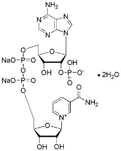 ß-Nicotinamide adenine dinucleotide phosphate (NADP-Na2, oxidized form) ≥98%