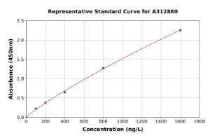 Representative standard curve for Human HuR/ELAVL1 ELISA kit (A312880)