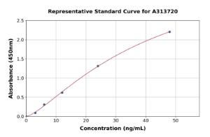 Representative standard curve for human Laminin gamma 1 ELISA kit (A313720)