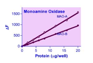 EnzyChrom™ Monoamine Oxidase Assay Kit, BioAssay Systems