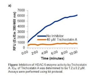 HDAC-5 Inhibitor Screening Kit