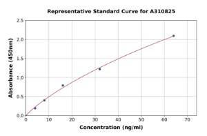 Representative standard curve for Human CD177 ELISA kit (A310825)