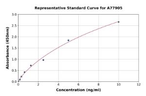 Representative standard curve for Human COMT ELISA kit (A77905)