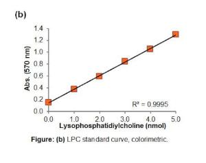 Lysophosphatidylcholine Assay Kit