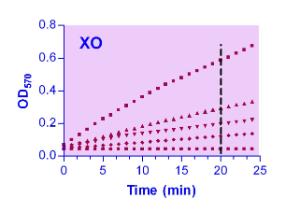 EnzyChrom™ Xanthine Oxidase Assay Kit, BioAssay Systems