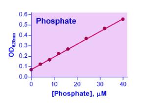 Malachite G Phosphate Assay Kit, BioAssay Systems