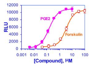 Luciferase Reporter Gene Assay Kit, BioAssay Systems