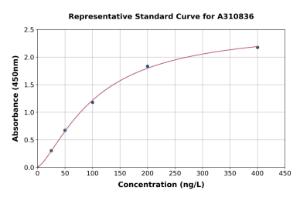 Representative standard curve for Mouse MIP-3 beta / CCL19 ELISA kit (A310836)
