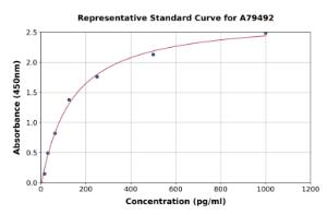 Representative standard curve for Human KLB ELISA kit (A79492)