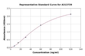 Representative standard curve for human THBS3  ELISA kit (A313739)