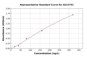 Representative standard curve for human CXCL2 ELISA kit (A313741)