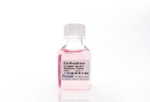 Cellvation DMSO free cryopreservation solution