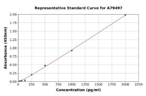 Representative standard curve for Human Leptin ELISA kit (A79497)