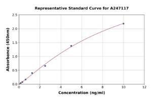 Representative standard curve for Human Stomatin ELISA kit (A247117)