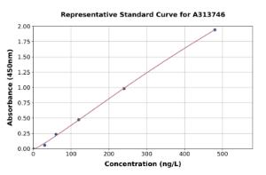 Representative standard curve for human TNF alpha ELISA kit (A313746)
