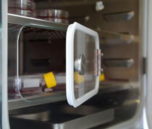 CO₂ incubator with hot air sterilization and heat sterilizable CO₂ sensor, CB 170
