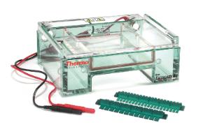 Owl™ EasyCast™ Mini Gel Electrophoresis System, Models B1 and B2, Thermo Scientific