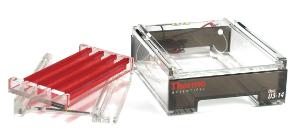 Owl™ EasyCast™ Wide-Format Horizontal Electrophoresis Systems, Models D2 and D3, Thermo Scientific
