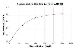 Representative standard curve for Human GALNT12 ELISA kit (A310855)