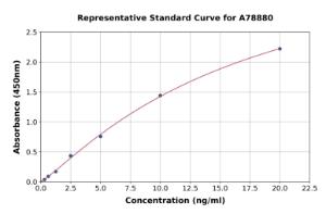 Representative standard curve for Rat TIMP2 ELISA kit (A78880)