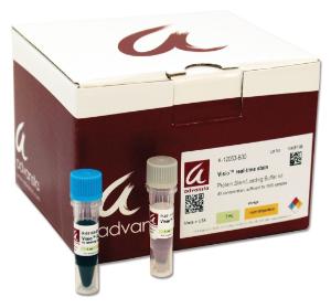 Visio™ Real-Time, Visible, In-gel Protein Stain, Advansta