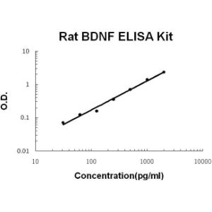 Rat BDNF PicoKine ELISA Kit, Boster