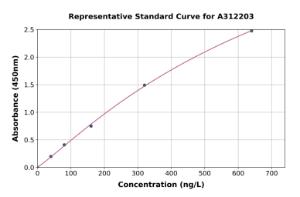Representative standard curve for Human SytXV ELISA kit (A312203)