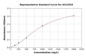 Representative standard curve for Human Topoisomerase II alpha ELISA kit (A312918)