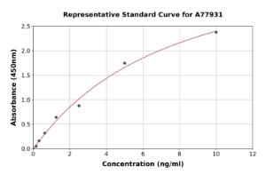 Representative standard curve for Rat beta Catenin ELISA kit (A77931)