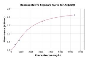 Representative standard curve for Human Synaptopodin ELISA kit (A312206)