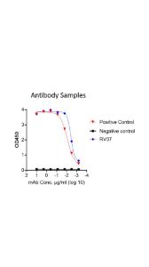 Functional binding test using antibodies