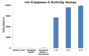 Recombinant Mouse Caspase-3 Activity Profile Using the Caspase-3<br />Fluorometric Assay Kit (K105-25)