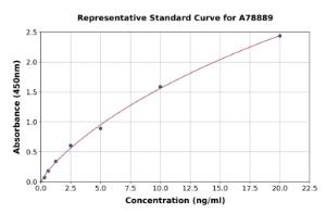 Representative standard curve for Human TLR4 ELISA kit (A78889)