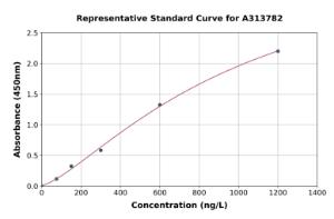 Representative standard curve for human SNX8 ELISA kit (A313782)