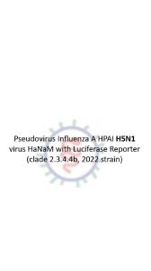 Cartoon illustration of pseudovirus