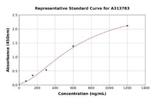 Representative standard curve for human Myelin Oligodendrocyte Glycoprotein ELISA kit (A313783)