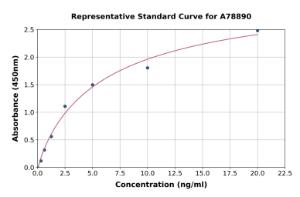 Representative standard curve for Mouse TLR4 ELISA kit (A78890)