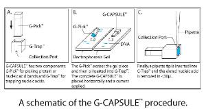 GeneCAPSULE™ (G-CAPSULE™) Electroelution Device for Extracting Nucleic Acids and Proteins, G-Biosciences