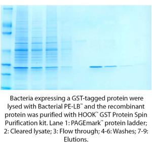 HOOK™ GST Protein Purification Kit for Bacteria or Yeast, G-Biosciences