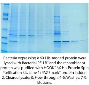 HOOK™ 6X His Protein Purification Kits for Bacteria or Yeast, G-Biosciences