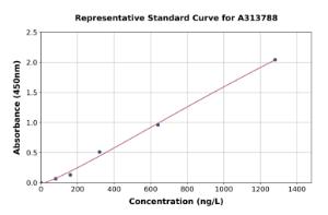 Representative standard curve for human MIOX ELISA kit (A313788)